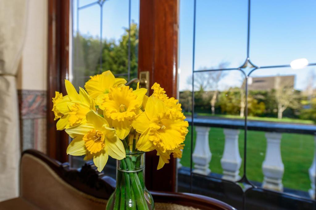 Killowen House B&B Drogheda Exterior foto